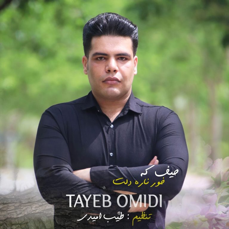 دانلود آهنگ لری حیف که خور ناره دلت (حیف که خبر نداره دلت) از طیب امیدی